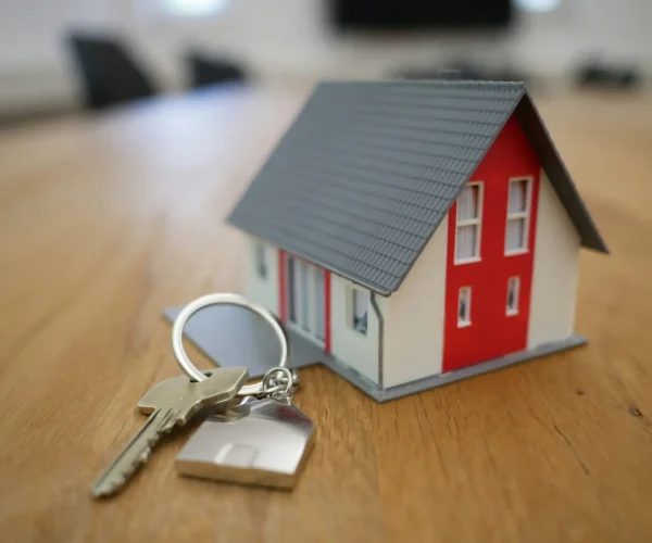 Immobilienvermietung